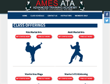 Tablet Screenshot of amesata.com